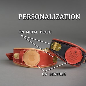 May include: Two leather dog collars with personalisation options. One collar is red with a tan leather patch featuring an apple logo. The other collar is black with a gold metal plate and a tan leather patch with the text "FLUFFY" and other details. The text "PERSONALISATION" is at the top of the image. The text "ON METAL PLATE" and "ON LEATHER" are below the collars.