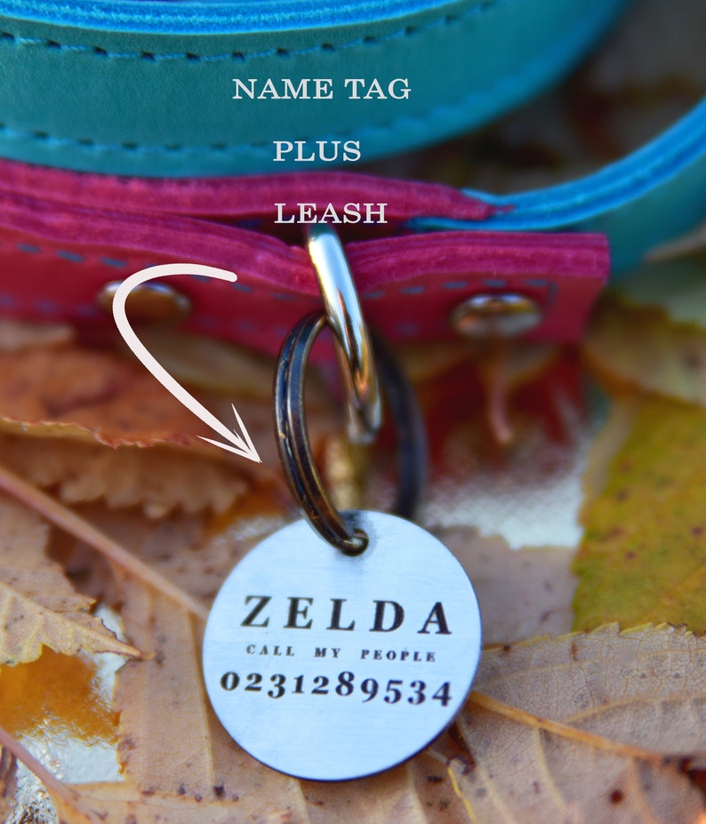 Op de afbeelding: Een turquoise en roze leren hondenhalsband met een zilveren en zwarte metalen tag eraan bevestigd. De tag heeft de tekst "ZELDA CALL MY PEOPLE 0231289534".