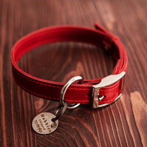 Collar para gatos, collares para perros personalizados, collar para gatos personalizado con placa de identificación, collares de cuero para perros con placa de identificación