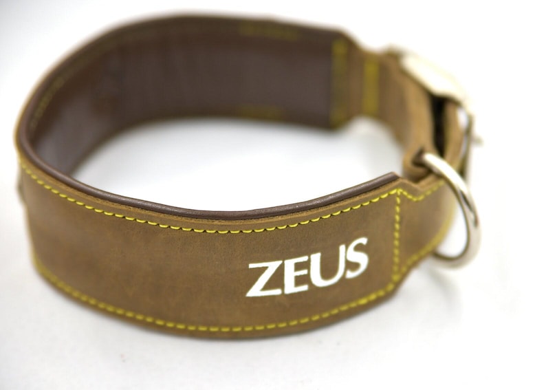 Hondenhalsband Gepersonaliseerde leren hondenhalsband Halsband voor grote honden Hondenhalsband op maat met handvat Halsbanden en riemen voor honden Trending Hulphond afbeelding 5