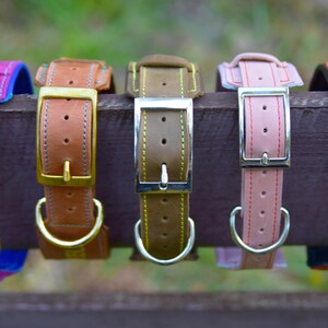 Puede incluir: Cinco collares de cuero para perro en colores magenta, tostado, verde oliva, rosa claro y marr&oacute;n rojizo. Cada collar cuenta con una hebilla de metal, una anilla en D para la correa y costuras visibles en los bordes, dispuestos en una fila.