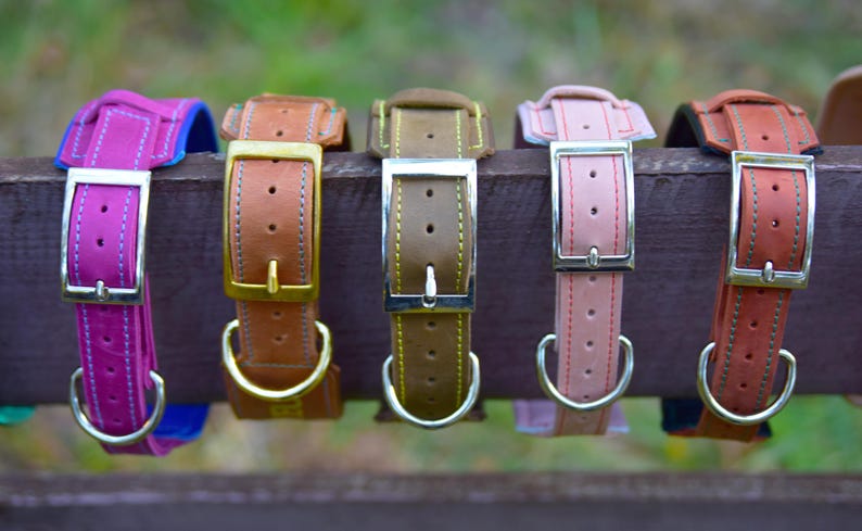 Puede incluir: Cinco collares de cuero para perro en colores magenta, tostado, verde oliva, rosa claro y marr&oacute;n rojizo. Cada collar cuenta con una hebilla de metal, una anilla en D para la correa y costuras visibles en los bordes, dispuestos en una fila.