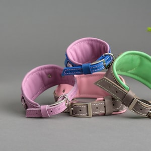 May include: Three leather dog collars in pink, green and grey. The collars have padded lining and adjustable buckles.