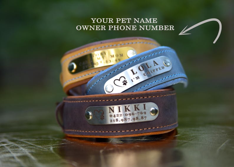 Puede incluir: Tres collares de cuero para mascotas en color tostado, azul y marr&oacute;n oscuro, cada uno con una placa de identificaci&oacute;n de metal. Las placas est&aacute;n grabadas con nombres, n&uacute;meros de tel&eacute;fono e iconos de huellas. El texto superior dice YOUR PET NAME OWNER PHONE NUMBER.