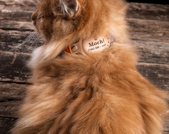 Airtag Katzenhalsband, Personalisiertes Leder Katzenhalsband mit Air Tag, Personalisiertes Leder Katzenhalsband, Halsband mit ID Tag Halter