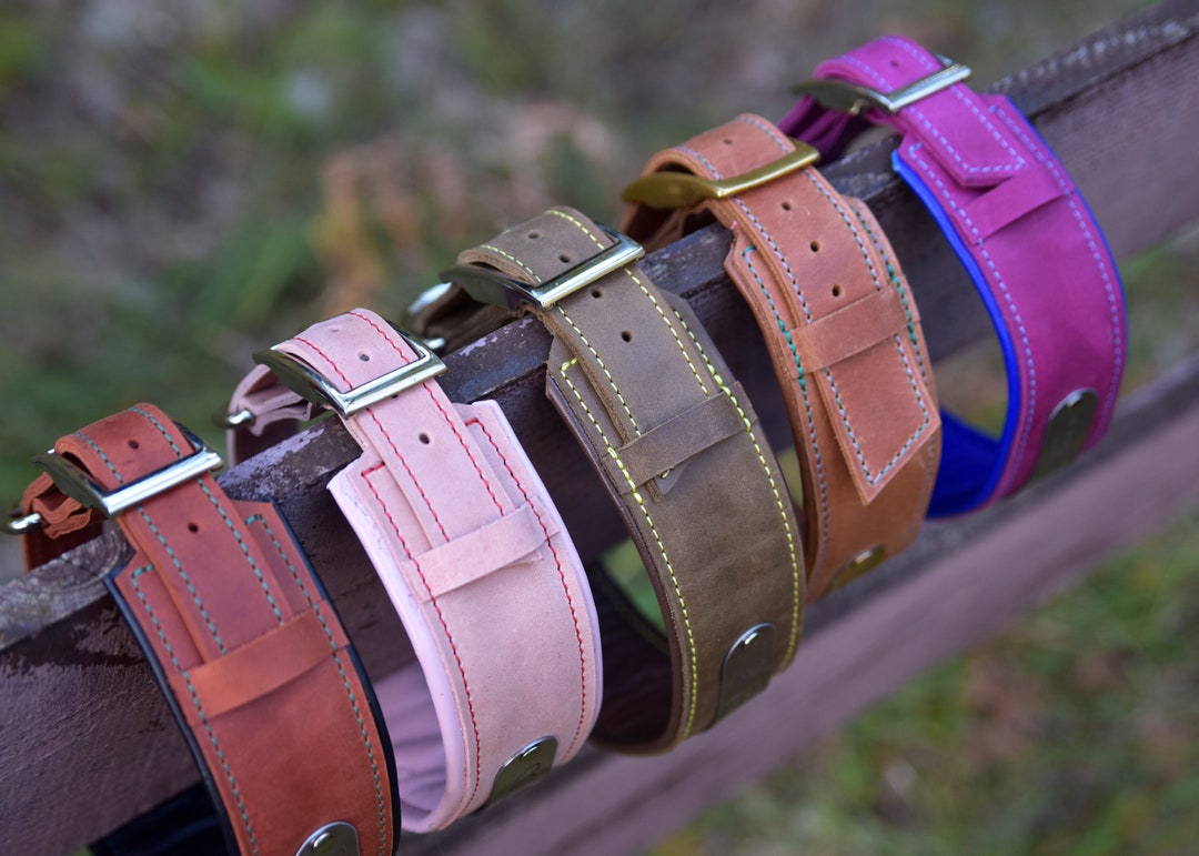 Personalized Leather Dog Collar, Engraved Dog Collars, Custom Dog ...