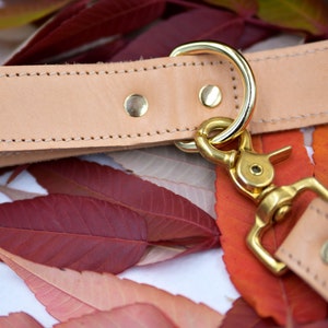 Op de afbeelding: Een close-up van een lichtbruine leren hondenriem met gouden hardware. De riem heeft een gestikte rand en een gouden D-ring. De riem ligt op een bed van rode en oranje bladeren.