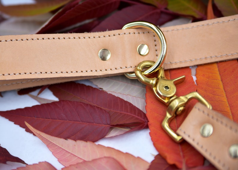 Op de afbeelding: Een close-up van een lichtbruine leren hondenriem met gouden hardware. De riem heeft een gestikte rand en een gouden D-ring. De riem ligt op een bed van rode en oranje bladeren.