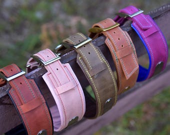 Leather Dog Collar in Two Colors: Custom Lining and Nameplate