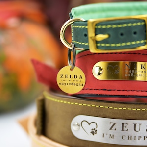 Collar de cuero para perros, collar personalizado para perros, collar personalizado para perros con placa de identificación, collares de cuero para perros, collares anchos para perros, collares y correas