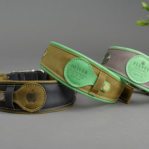 May include: Three leather dog collars with green trim and personalised name tags. The collars are brown, black and grey. The name tags have the names "Oliver", "Fluffy", and an apple logo.