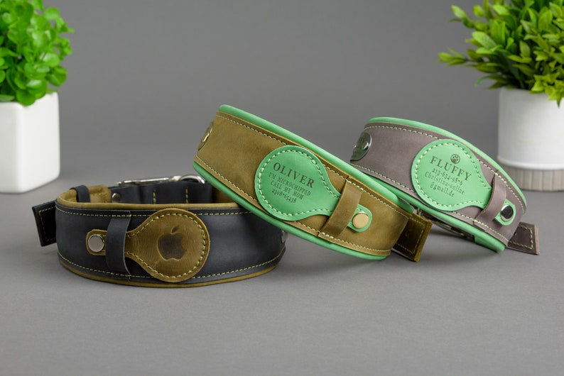 May include: Three leather dog collars with green trim and personalised name tags. The collars are brown, black and grey. The name tags have the names "Oliver", "Fluffy", and an apple logo.