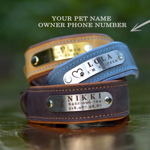 May include: Three leather dog collars with personalized metal tags. The top collar is blue with a tag that reads "Lola I'm chipped". The middle collar is tan with a tag that reads "My Mom". The bottom collar is brown with a tag that reads "Nikki 0422-096-769 218.987.98.87".