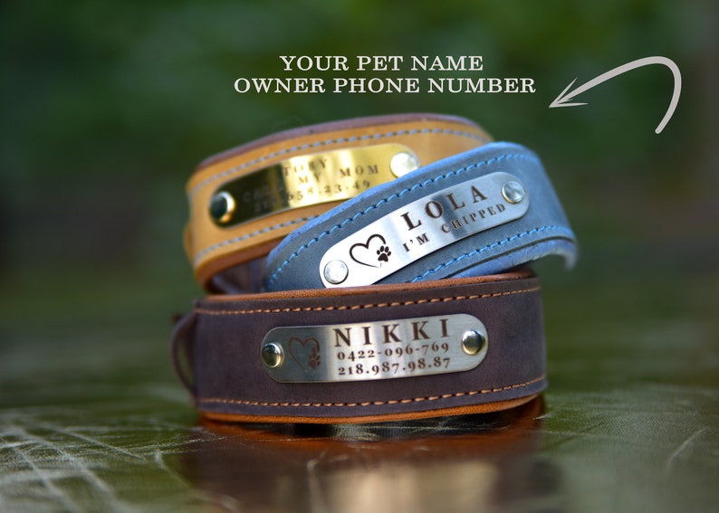 Personalized leather dog collar with name, Engraved Dog Collar, Custom Dog Collar with Name Plate, Leather red dog collar personalized image 2