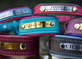 Personalized Leather Dog Collar, Engraved Dog Collar, Custom Dog Collar with Name Plate, Leather Dog Collar product logo