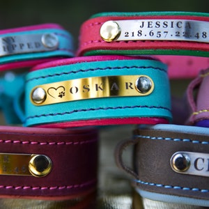 Personalized Leather Dog Collar, Engraved Dog Collar, Custom Dog Collar with Name Plate, Leather Dog Collar