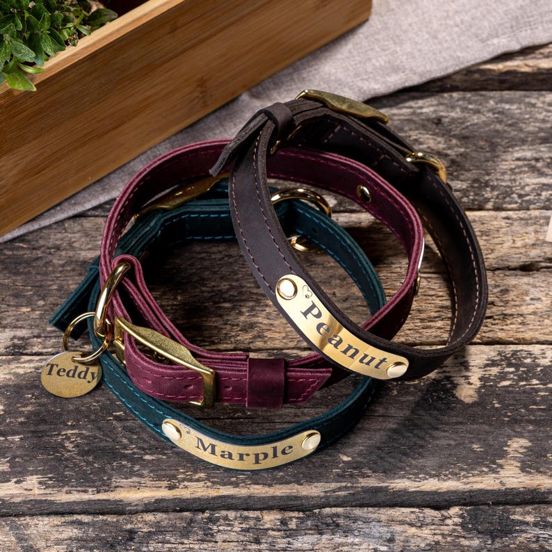 Dog Collar, Dog Collars, Personalized Leather Dog Collars, Engraved Dog ...