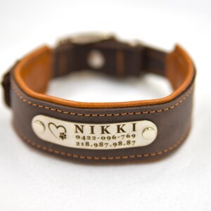 Puede incluir: Un collar de cuero marr&oacute;n oscuro con forro interior color canela y costuras en contraste. Una placa de metal plateado est&aacute; remachada al frente, grabada con un icono de coraz&oacute;n y huella, el nombre NIKKI y los n&uacute;meros 0422-096-769 y 218.987.98.87.