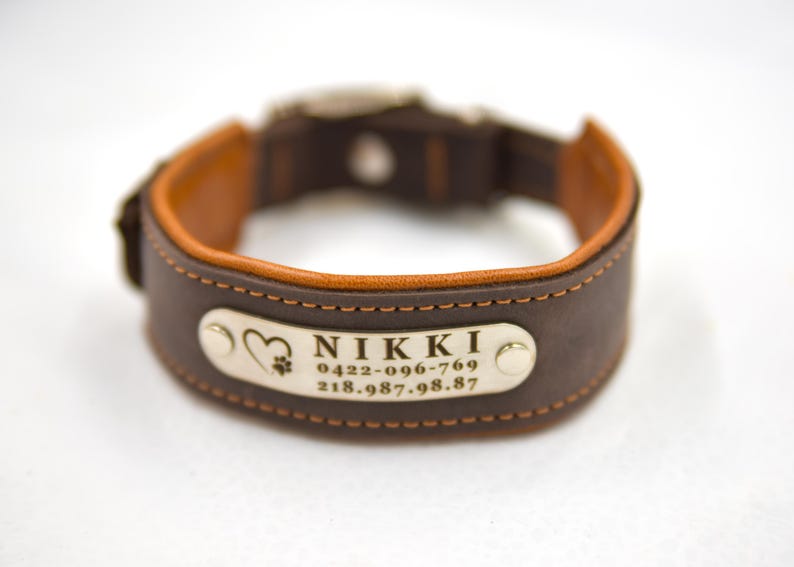 Puede incluir: Un collar de cuero marr&oacute;n oscuro con forro interior color canela y costuras en contraste. Una placa de metal plateado est&aacute; remachada al frente, grabada con un icono de coraz&oacute;n y huella, el nombre NIKKI y los n&uacute;meros 0422-096-769 y 218.987.98.87.