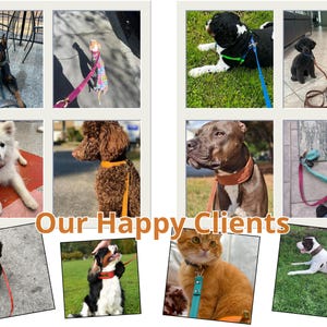 Hondenriem gepersonaliseerd, lederen riem voor hulphond, leibanden en accessoires met ID-tags voor kleine en grote honden, hondenuitlater op maat afbeelding 8