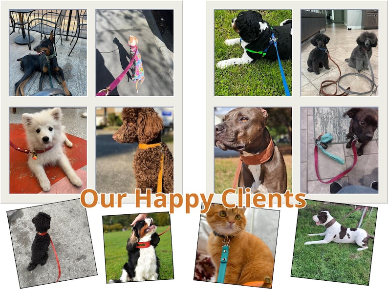 Hondenriem gepersonaliseerd, lederen riem voor hulphond, leibanden en accessoires met ID-tags voor kleine en grote honden, hondenuitlater op maat afbeelding 8
