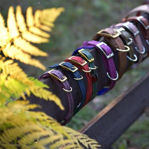 Puede incluir: Una colecci&oacute;n de collares de cuero en varios colores, incluyendo morado, azul, rojo, verde, marr&oacute;n y beige, cada uno con una hebilla de metal y una anilla en D. Los collares est&aacute;n dispuestos en fila, mostrando diferentes tonos y herrajes met&aacute;licos.