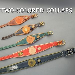May include: Five two-tone leather dog collars with metal buckles and engraved name tags. The collars are in various colours, including brown, green, red, and blue.