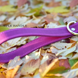 Op de afbeelding: Een paarse leren hondenriem met een simpele handgreep en een gouden metalen ring. De riem ligt op een bed van gevallen herfstbladeren.