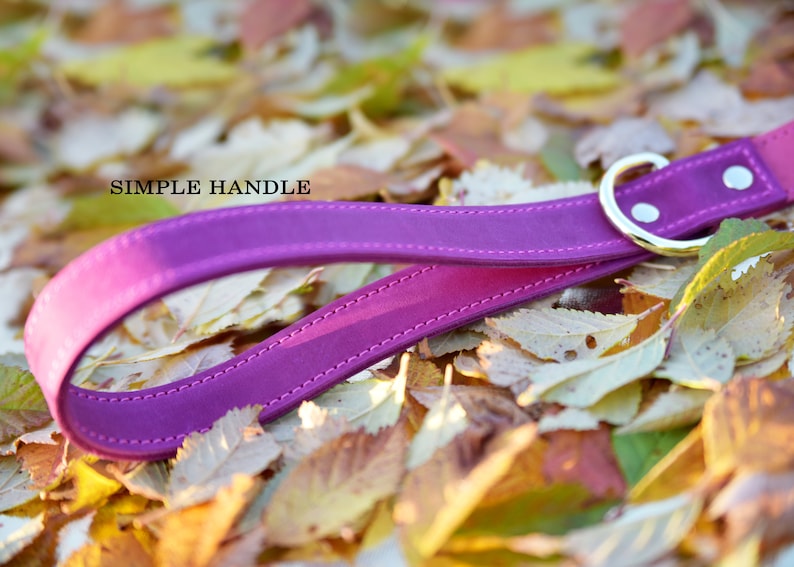 Op de afbeelding: Een paarse leren hondenriem met een simpele handgreep en een gouden metalen ring. De riem ligt op een bed van gevallen herfstbladeren.