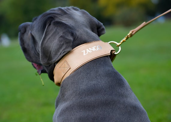 otto hundebetten 2.8 Duepuntootto | Henri Hundebett Canvas main image 0