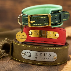Puede incluir: Tres collares para mascotas apilados en verde oscuro, rojo y marr&oacute;n oliva. El collar superior tiene un forro verde menta y hebilla dorada. El collar rojo tiene una placa dorada con NIKKI y una chapa redonda con ZELDA. El collar inferior tiene una placa plateada con ZEUS I'M CHIPPED.