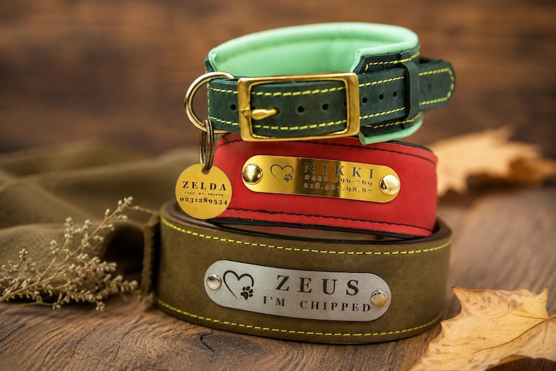 Puede incluir: Tres collares para mascotas apilados en verde oscuro, rojo y marr&oacute;n oliva. El collar superior tiene un forro verde menta y hebilla dorada. El collar rojo tiene una placa dorada con NIKKI y una chapa redonda con ZELDA. El collar inferior tiene una placa plateada con ZEUS I'M CHIPPED.