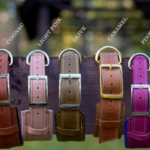 Op de afbeelding: Vijf leren hondenhalsbanden in verschillende kleuren: cognac, lichtroze, olijf, karamel en roze. Elke halsband heeft een zilveren gesp en een gestikt ontwerp.