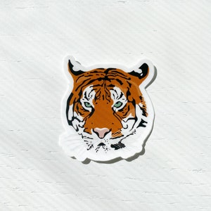 Tigress Face Kit, Costume Tiger Face, Tiger Body Stickers