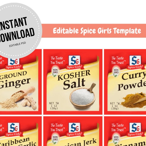 Spice Girls Halloween Costume Template Instant Download - Etsy