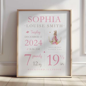 Pink Peter Rabbit Flopsy Nursery Wall Art - Birth Stat Wall Art - Birth Details Sign - Baby Birth Print - Girls Nursery Decor - Bunny Rabbit