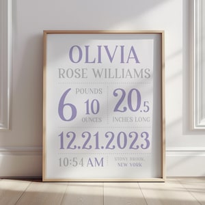 Baby Girl Birth Stat Nursery Wall Art, Personalized Baby Gift, Nursery Room Decor, Nursery Print, Baby Stat, Baby Birth Details