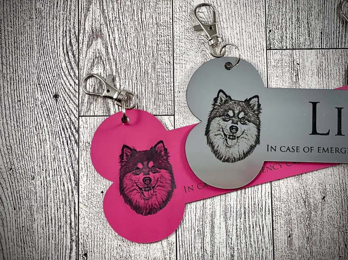 Custom Photo Dog Crate Tag: Bone Shape, Personalized Acrylic Kennel Tag ...