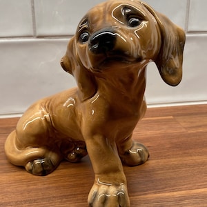 Goebel dog