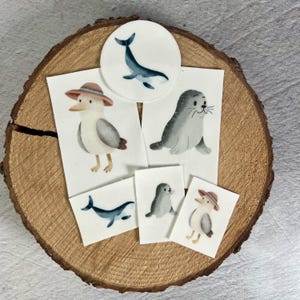 Könnte beinhalten: Eine Sammlung von Aquarellillustrationen von Meerestieren, darunter ein Wal, Robben und Möwen, angeordnet auf einer Holzscheibe. Die Illustrationen weisen sanfte Farben auf und werden auf kleinen, rechteckigen und kreisförmigen Karten präsentiert.