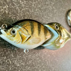 abel fly fishing reels for sale Abel TR Light Reel – JP Ross Fly Rods & Co. Outdoors main image 0