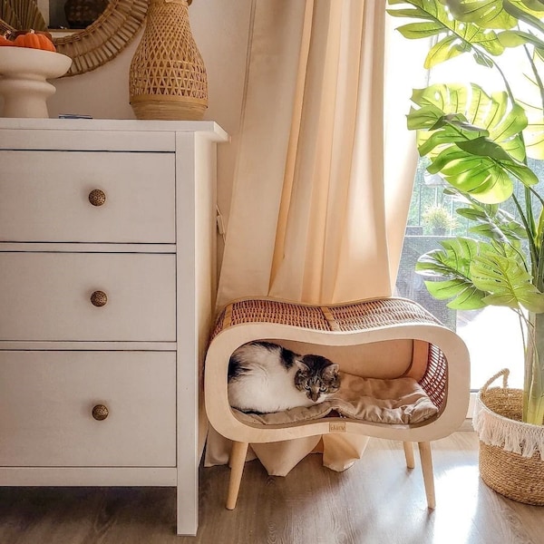 Wicker Pet Bed With Legs Etsy