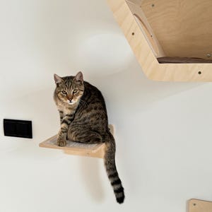 Marchepied Wiklibox pour chats pour chat. Marches pour chats pour le mur, escaliers pour chats. Mur de meubles pour chats, aire de jeux pour chats. Meubles pour animaux de compagnie. Cadeau chat