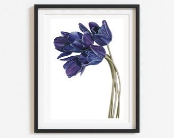 Blaue Tulpen, botanische Illustration von Original Zeichnung, botanische Kunst für das Zuhause, hochwertiges Baumwollpapier