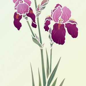 LARGE Iris Flower Stencil 2 © - Etsy