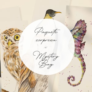 Mystery bag, surprise bag, sobre sorpresa, random sticker, bookmarks, prints, miniprints, pegatinas, marcapáginas, chapas