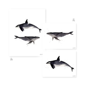 Decorative print featuring marine animals, orca and whale, watercolor prints, home decor. Killerwhale and blue whale animal print.
