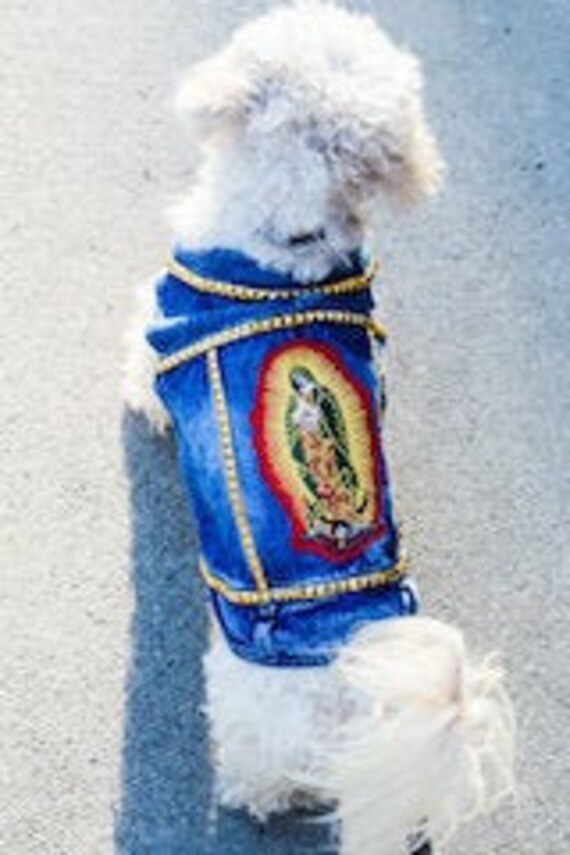 punk rock dog clothes