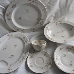 Theodore Haviland New York PINK SPRAY Dinnerware