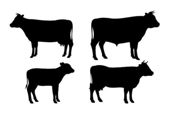 Download Cows SVG Silhouette Cows Clipart Cows Cut File Cows Cricut | Etsy